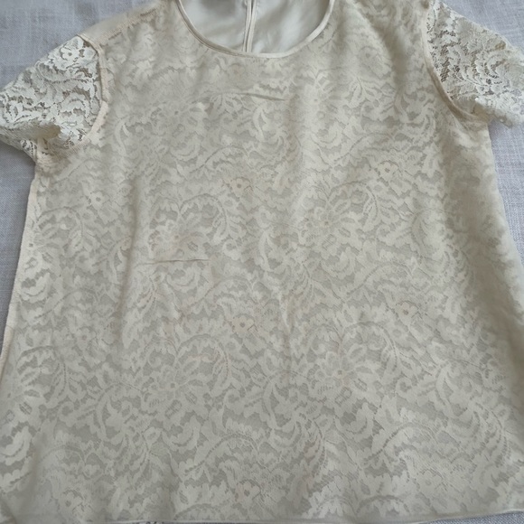 •Antonelli Firenze Silk Lace cream Short Sleeve Top Blouse S… - Picture 10 of 14